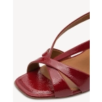 Κομψά Πέδιλα με Λουράκια - Image 3